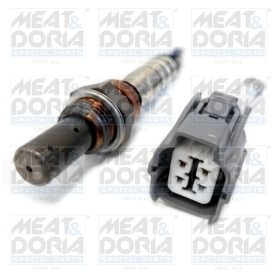 Oxygen Sensor